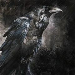 Анастасия Каткова, 14.06, Санкт-Петербург