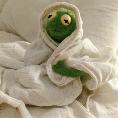 Амина Жангуразова, Саратов