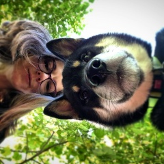 Катерина Шамлер, 26.11