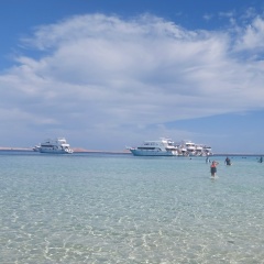 Ljudmila Lobina, Нарва