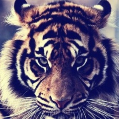 Асылбек Есиркепов, 27.06, Актау