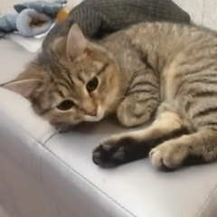 Светлана Кузьмина, 02.01, Москва