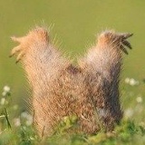 Мария Шостенко, 15.04.1992, Москва