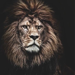 Алексей Котов, 20.02, Ростов-на-Дону