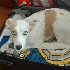 Yulia Mikhaylova, 03.04.1985, Santiago