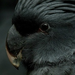 My Name, 12.04.1985, Санкт-Петербург