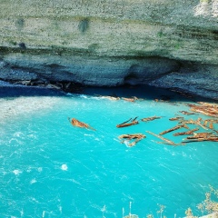 Феруза Ахмедова, Шымкент