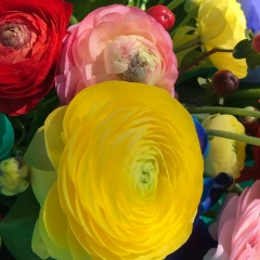 Анна Сту, 08.02.1983, Новочеркасск