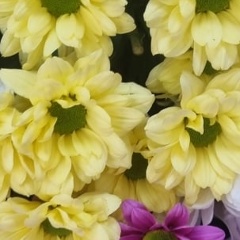 Nurgul Sarzhanova, 12.04