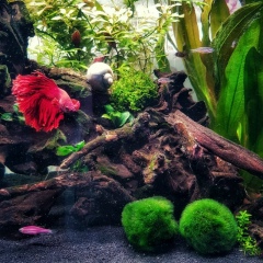 Роман Стеняев, 30.10.1981, Санкт-Петербург