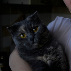 Александр Бельмонт, 04.10