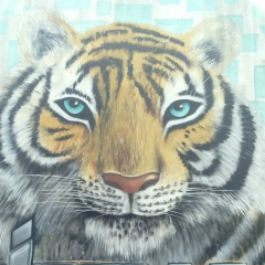 Михаил Абакумов, 26.06.1986, Москва