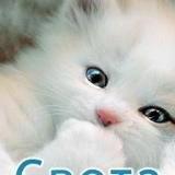 Светлана Маркина, 02.02, Москва