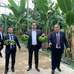 Daler Daler, 01.09, Москва