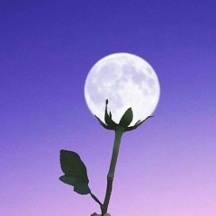 Айгуль Асланова, 29.06, Москва