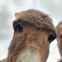 Алексей Смыслов, 12.04.1986