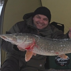 Александр Плотников, 19.08.1981, Тамбов