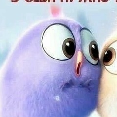 Евгений Толстов, 14.04.1990, Ядрин