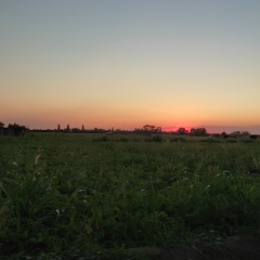 Blff Qoop, 10.09.1992, Хасавюрт