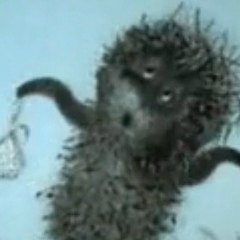 Елена Туманова, 13.06, Тула