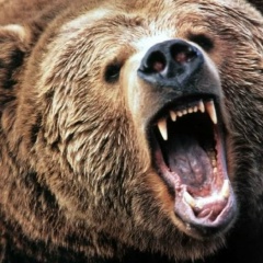 Антоха Вашегин, 07.11