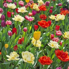 Эвелина Исмаилова, 18.05