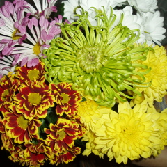 Ольга Гущина, Красноярск