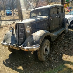 Veglivij Chelovek, Калининград