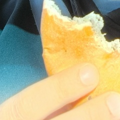 Илья Семёнов, Курган