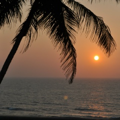 Марина Алуева, 08.05.1988, Москва