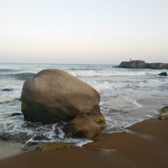 Роман Клюкин, 07.06, Брест