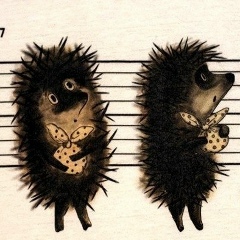 Андрей Ежов, 14.08.1979, Санкт-Петербург