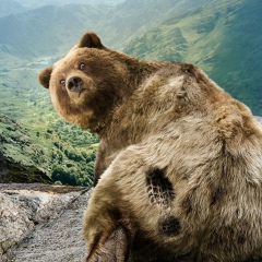 Аца Дзагоев, 20.12.1990, Владикавказ