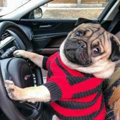 Anna Vladivostok, 31.07, Владивосток