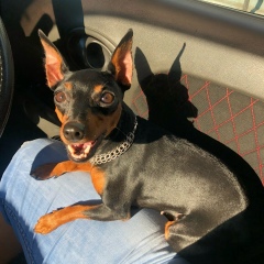 Вадик Ким, 08.08.1989, Уссурийск