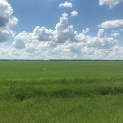 Иван Жуков, 14.05.1989, Омск