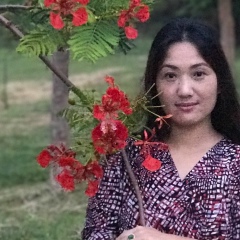 ဆိုင္း ပန္, 11.01.1981