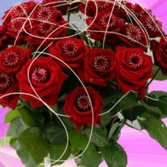 Жанна Нуркеева, Шымкент