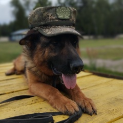 Павел Авдеев, 05.11.1981, Саратов