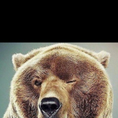 Алексей Цунин, 31.03, Краснодар