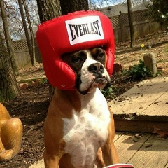 Александр Сысуев, 20.08.1986, Донецк