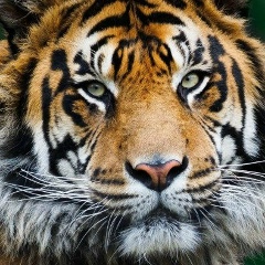 Дмитрий Викторов, 09.09, Москва