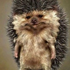 Мурат Генеральский, 31.05, Нальчик