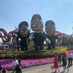 Dana Zhurumbayeva, 05.10, Алматы