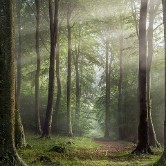 Рустам Ибрагимов, 14.11.1988, Грозный