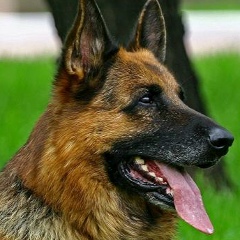 Сергей Козак, 13.01