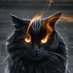 Александр Колесник, 23.07.1982