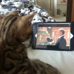 Aleksey A-V, 17.03, Санкт-Петербург