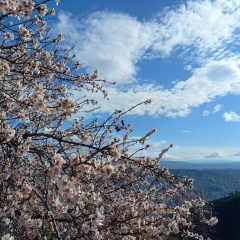 Дарина Харькова, 28.03, Санкт-Петербург