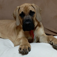 Павел Бордуков, 05.07.1970